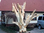 zum Vergrößern bitte anklicken